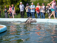 PH020922-103 - Guernesey swimming